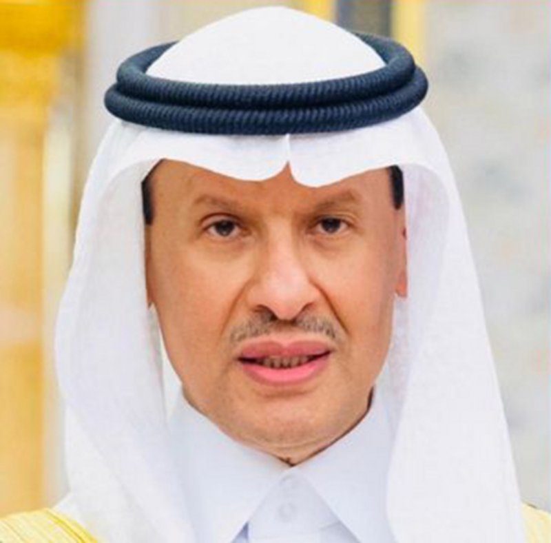 ?بدالعزيز بن سلمان: المملكة لديها