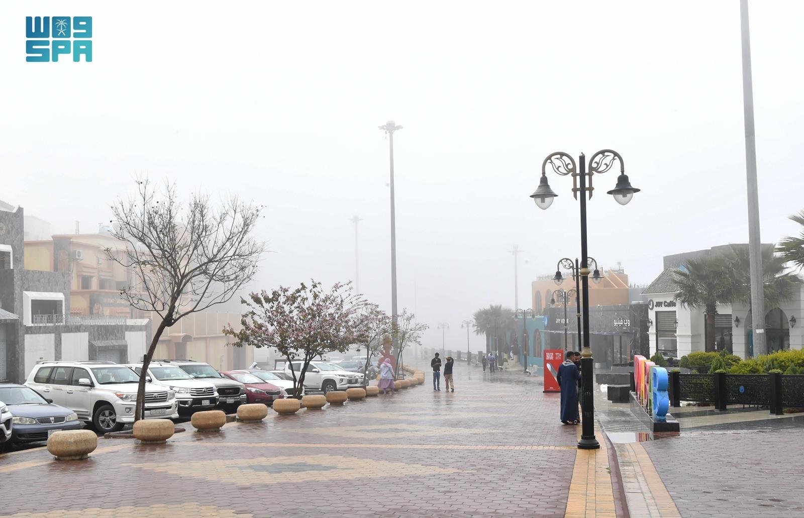 صورة من الألبوم