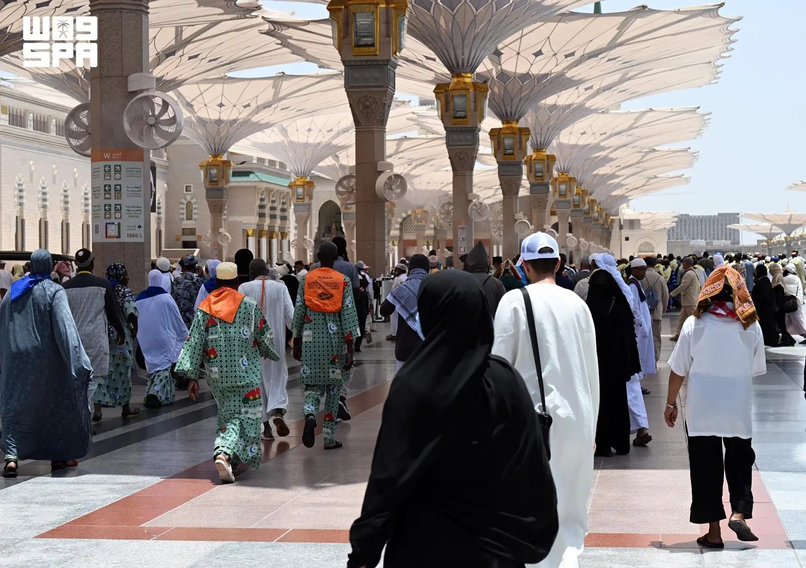 صورة من الألبوم