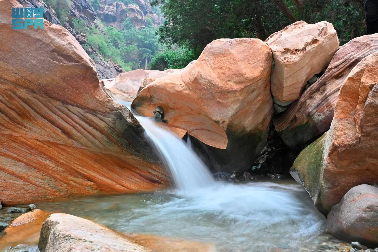 صورة من الألبوم