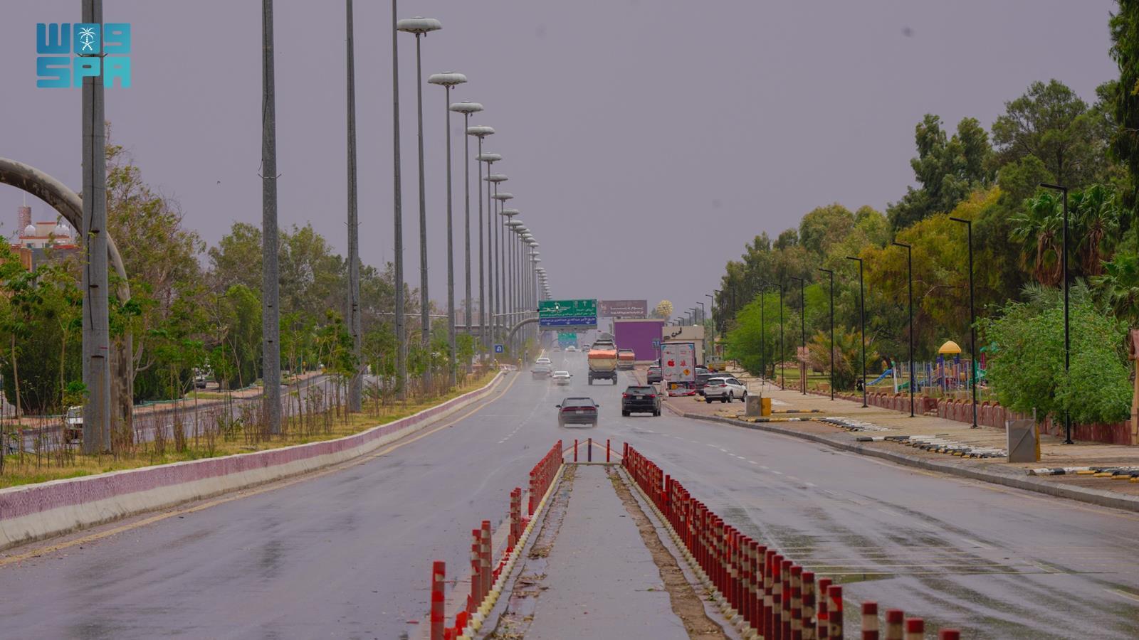 صورة من الألبوم