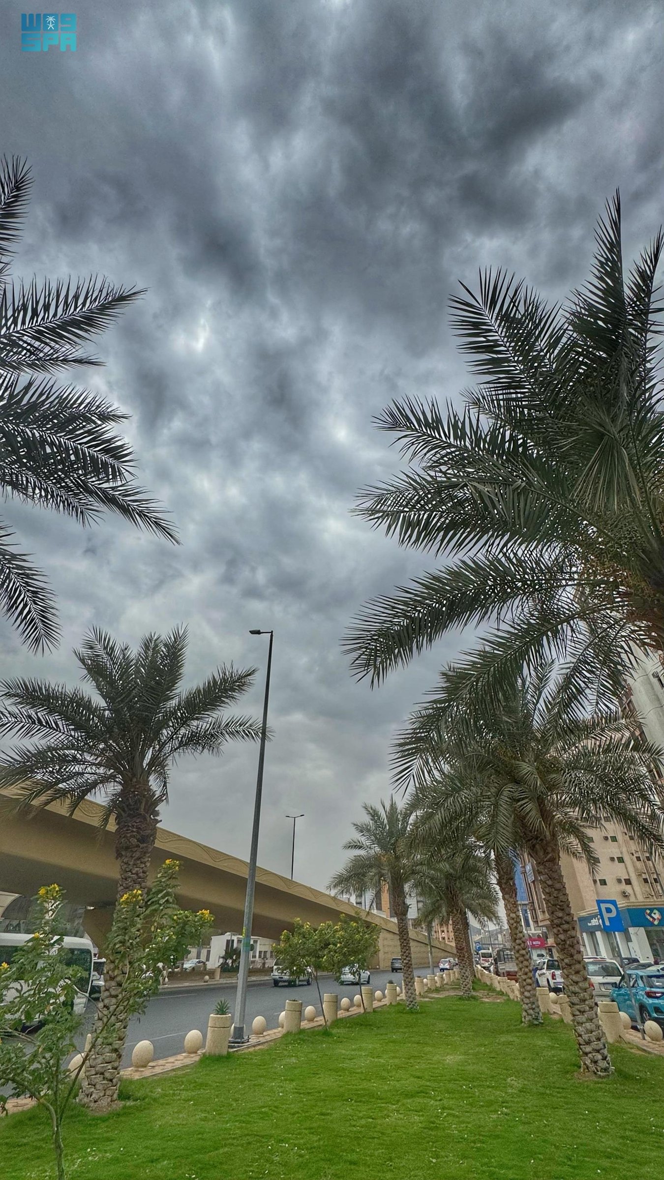 صورة من الألبوم