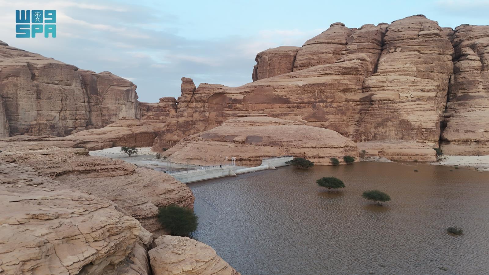 صورة من الألبوم