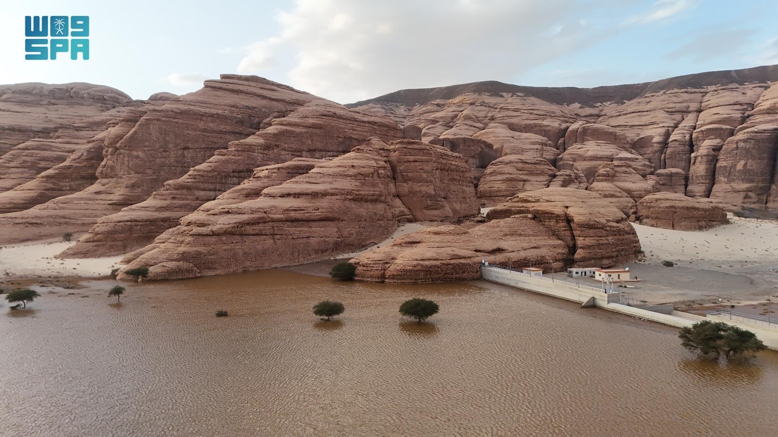 صورة من الألبوم