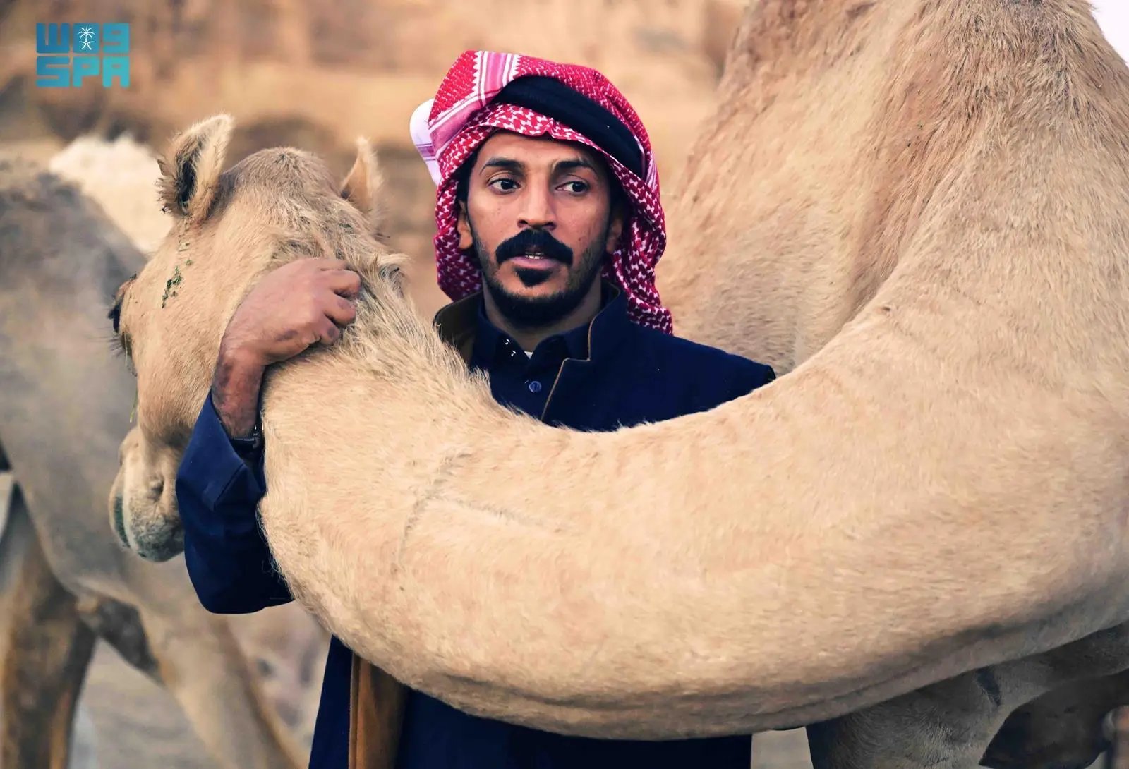 ?جهود حثيثة ومبادرات متجددة.. حكومة