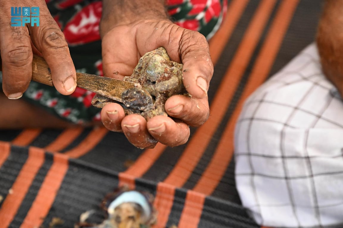 غواصو فرسان