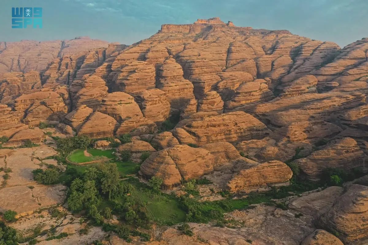 صورة من الألبوم