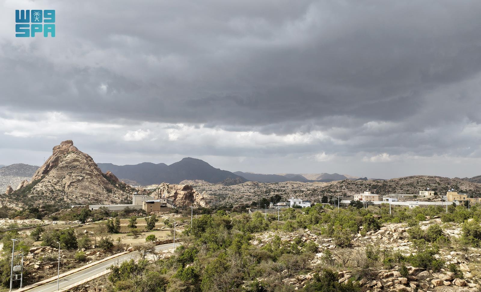 صورة من الألبوم
