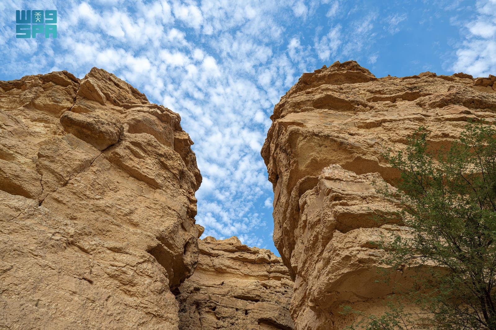 محمية الملك خالد الملكية.. تشكّلات