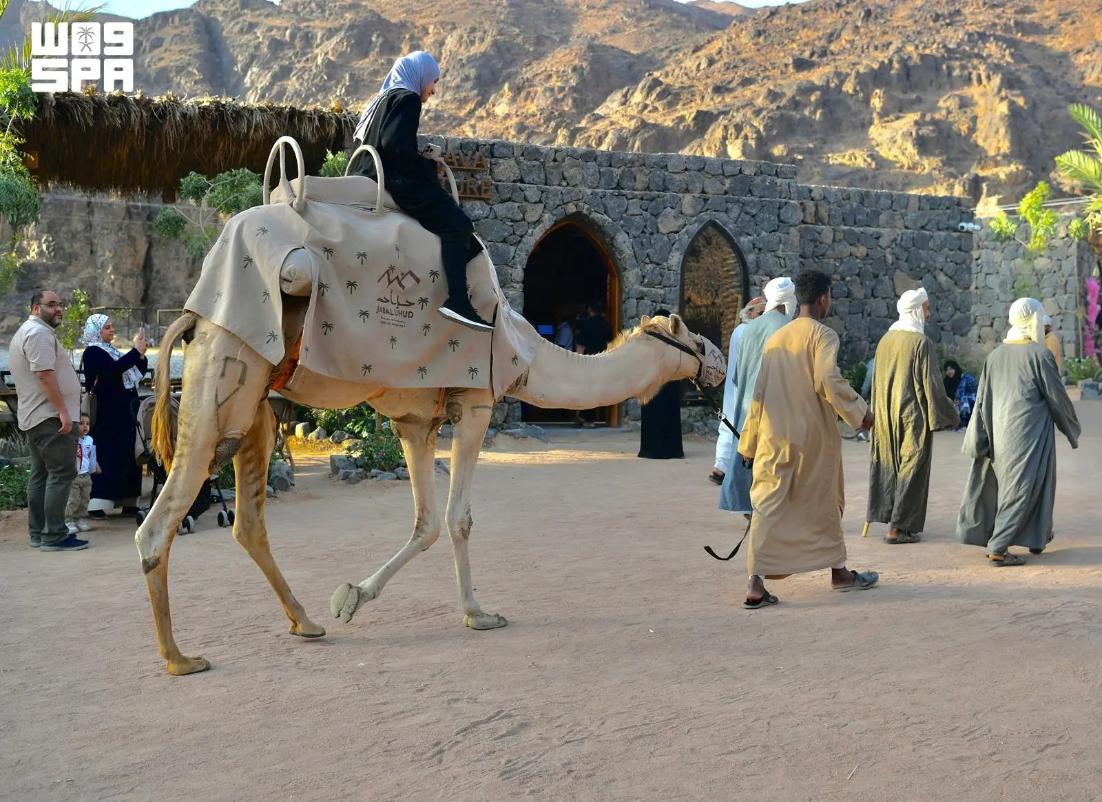 صورة من الألبوم