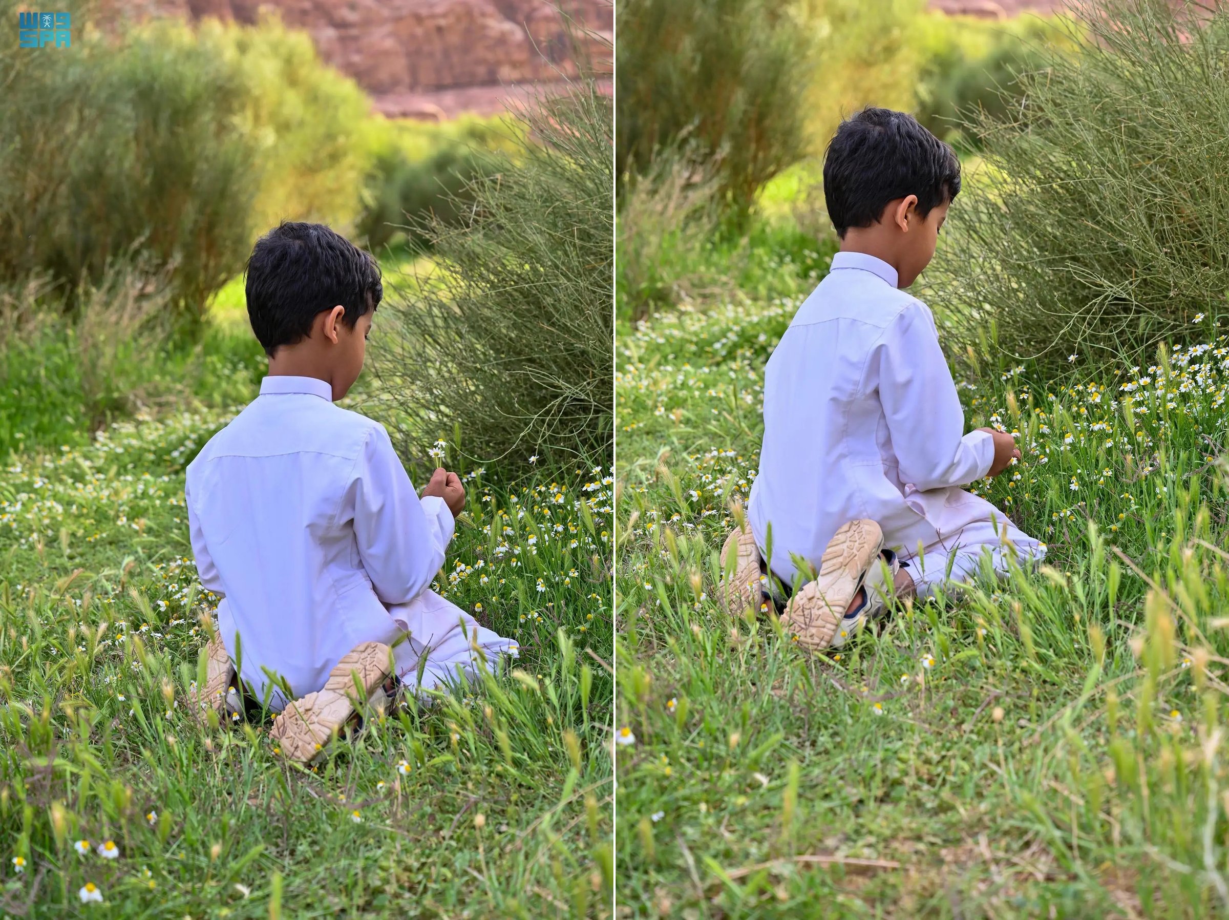 صورة من الألبوم