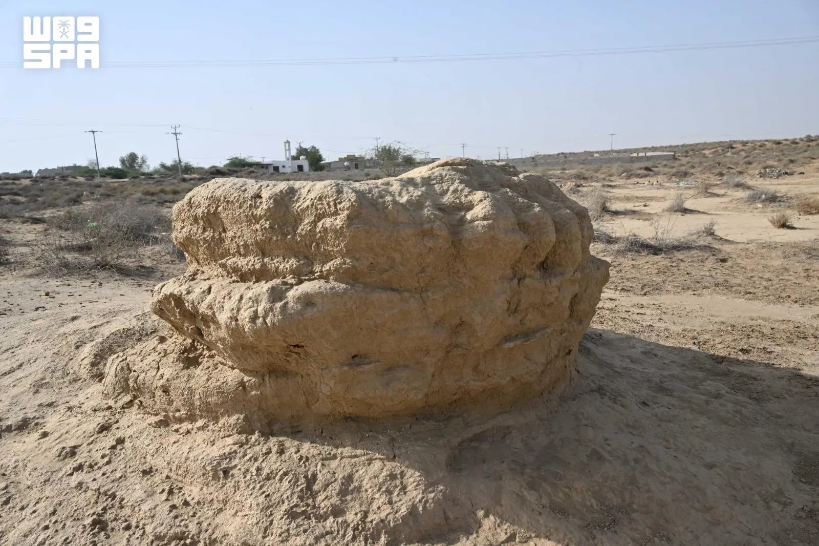 صورة من الألبوم