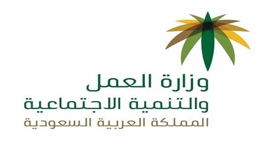نجران.. لجنة توطين الوظائف تحصر
