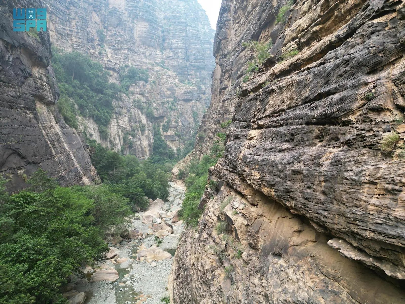 صورة من الألبوم