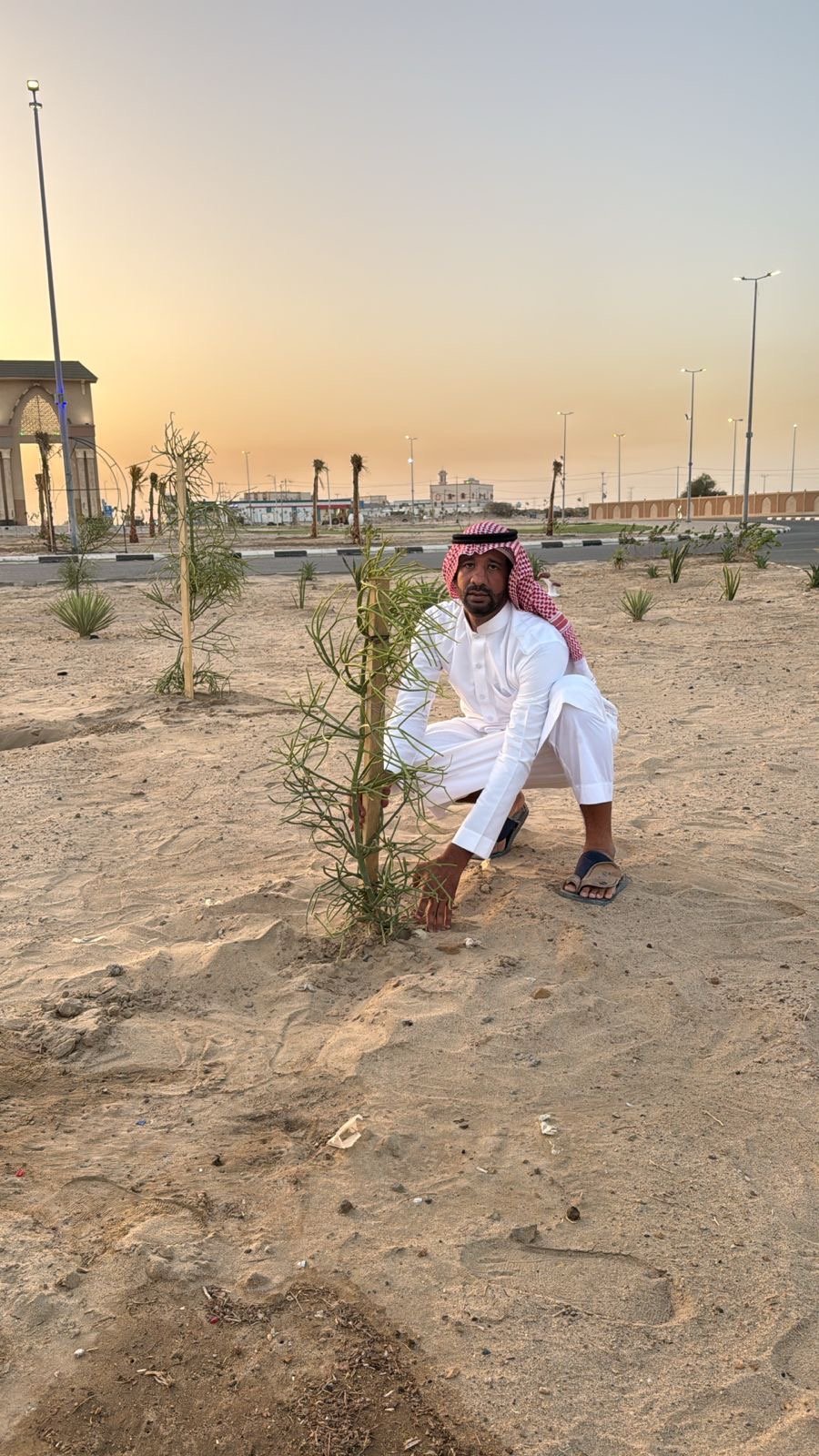 صورة من الألبوم