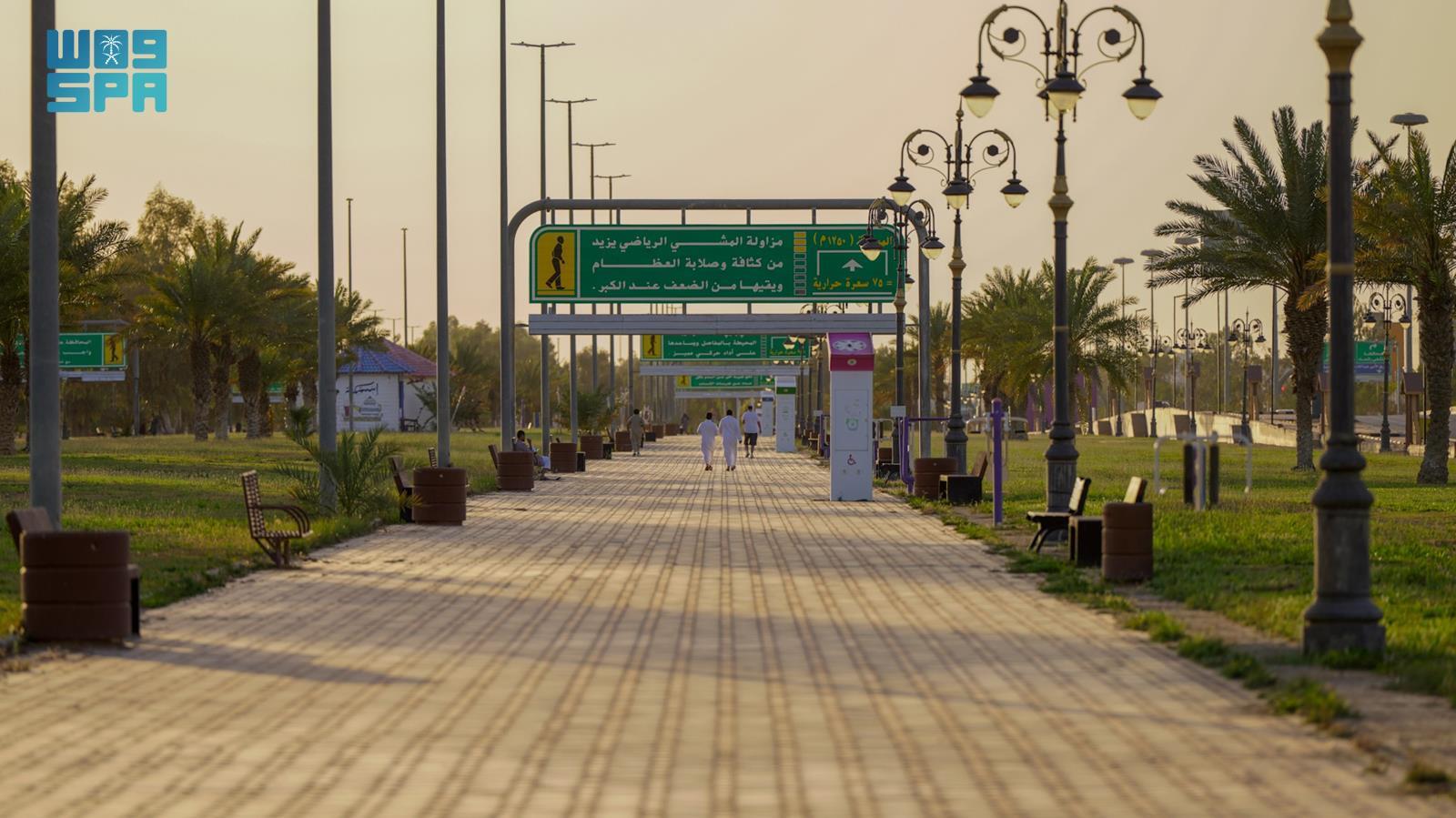صورة من الألبوم