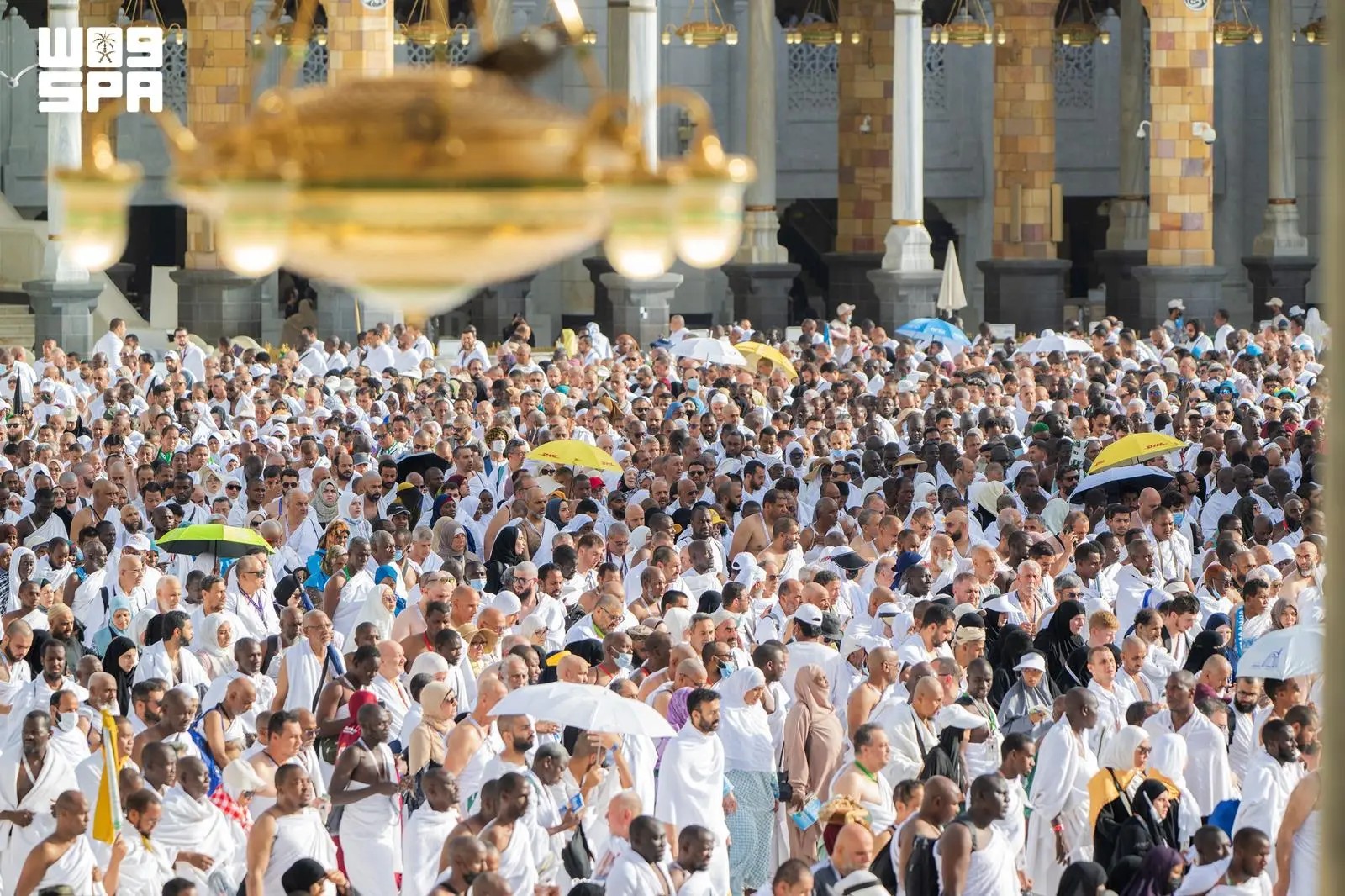 صورة من الألبوم