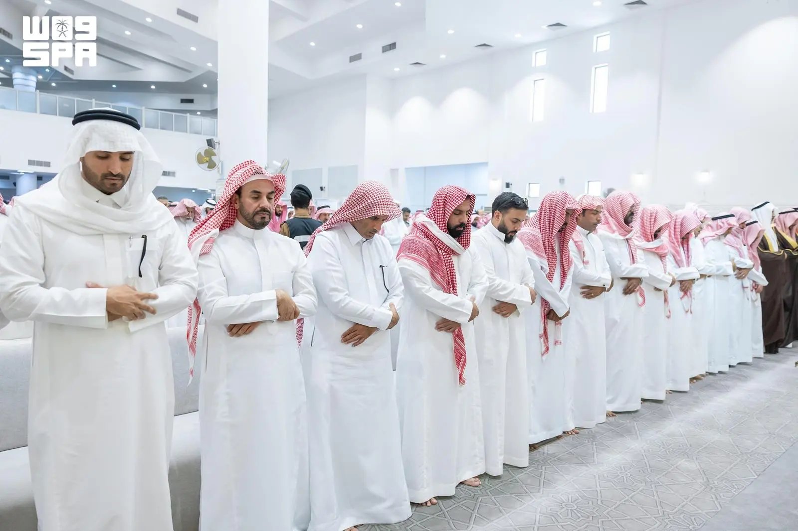 صورة من الألبوم