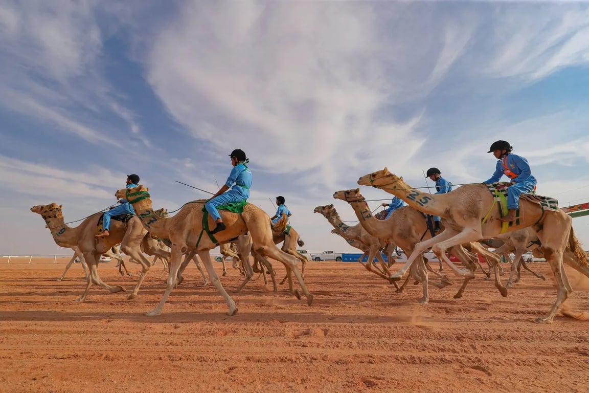غداً.. انطلاق منافسات الهجّانات في مهرجان خادم الحرمين الشريفين للهجن 2026. مشاركة هجّانات من 7 دول وحضور أول لـ الدنمارك. 19 هجّانة سعودية يتصدرن المشهد في الجنادرية. سباق الراكب البشري بـ64 مشاركًا وجوائز 940 ألف ريال 