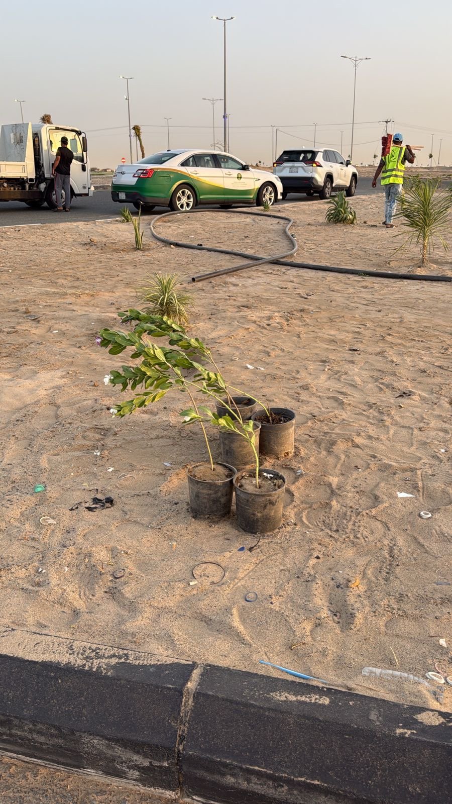 صورة من الألبوم