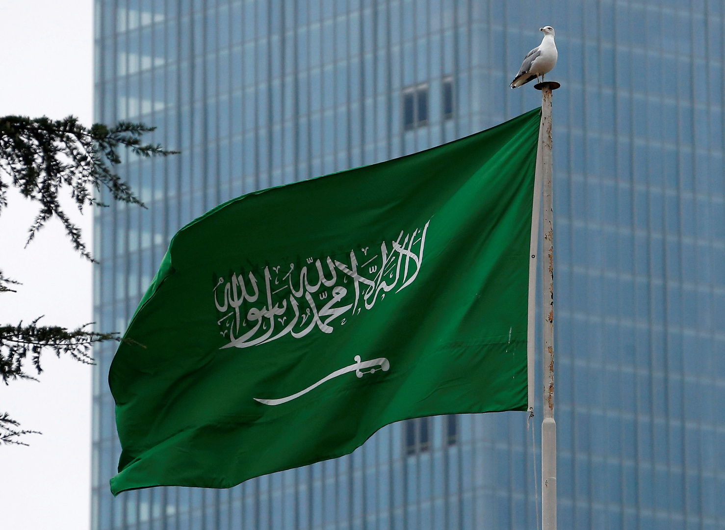 ?براء في حقوق الإنسان: المملكة