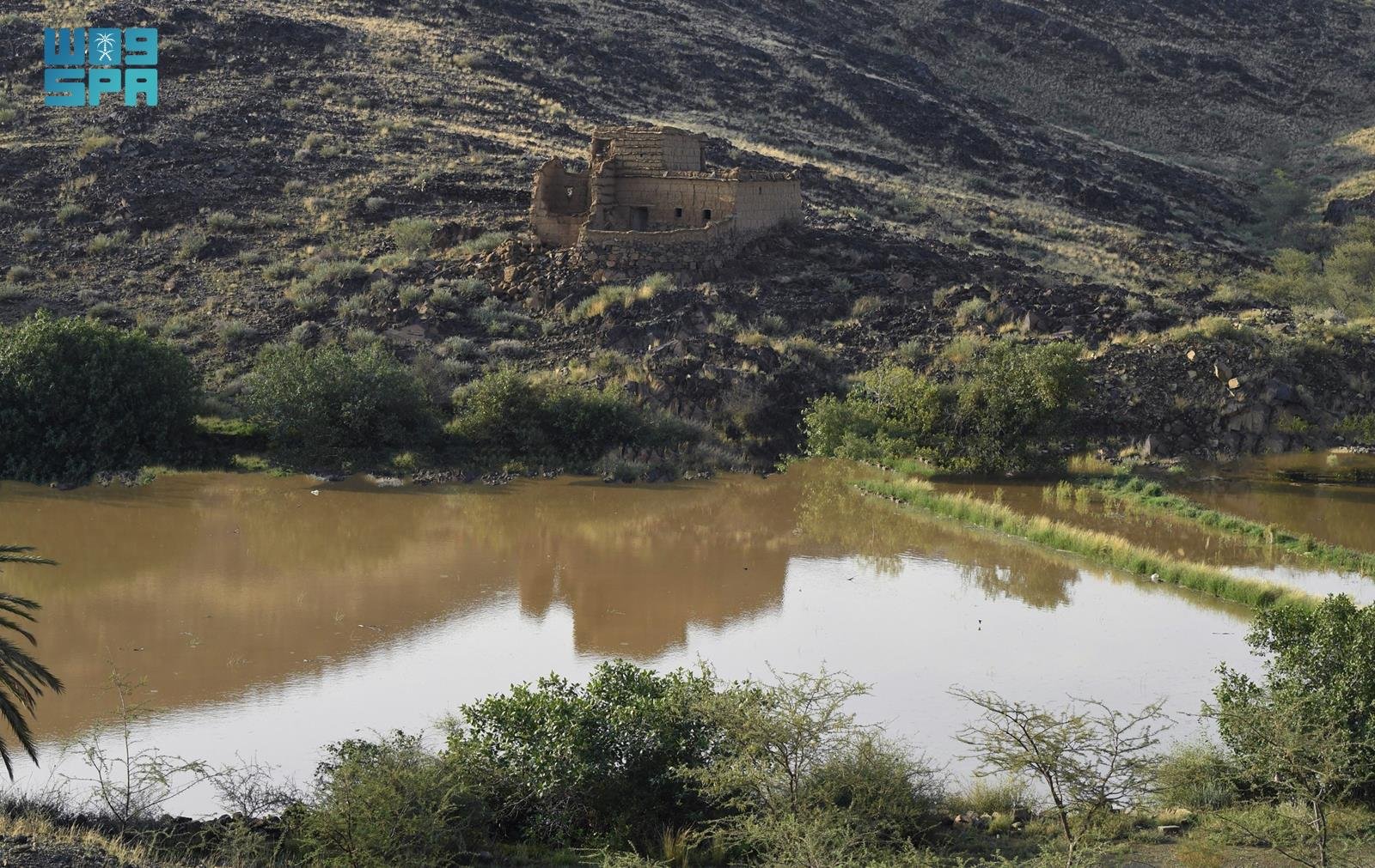صورة من الألبوم