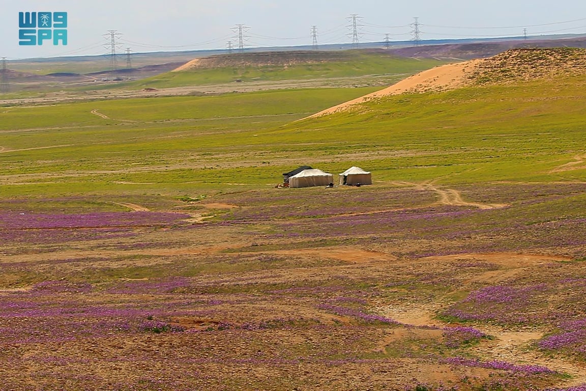 الثروة الحيوانية في عرعر
