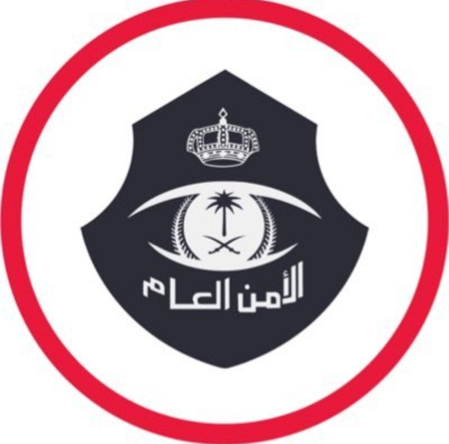 في قبضة رجال الأمن.. فيديو