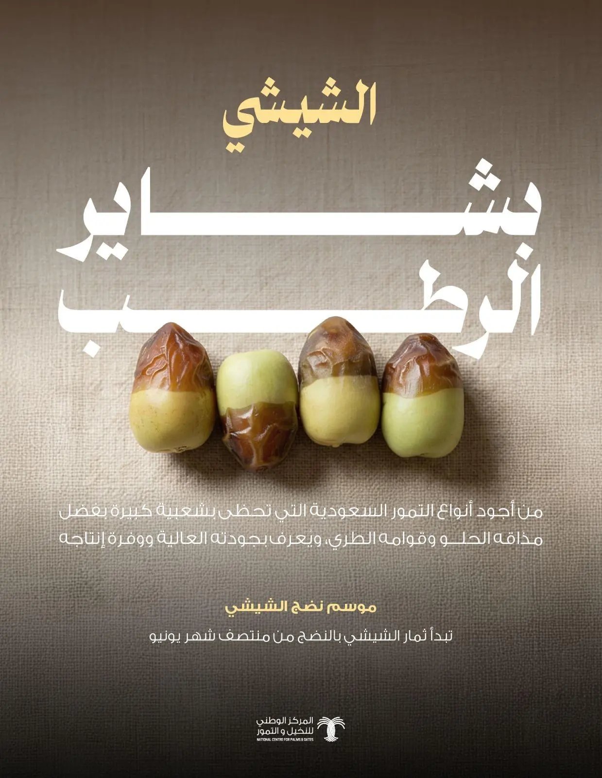 رطب الشيشي يحقق إقبالاً واسعاً مع انطلاق موسم بشاير الرطب. رطب الشيشي يشهد إقبالاً كبيراً في أسواق التمور المحلية مع بداية موسم بشاير الرطب، بفضل مذاقه الحلو وقوامه الطري ووفرة إنتاجه.. يُعد من أبرز أصناف الرطب السعودية، إذ يبدأ موسم نضجه من منتصف يونيو، ويمكن استهلاكه رطباً أو تمراً.. حملة "بشاير الرطب" تهدف إلى التعريف بمواسم الأصناف ومناطق إنتاجها، بما يدعم المزارعين ويرفع القيمة السوقية للتمور السعودية ويعزز استهلاكها المحلي 