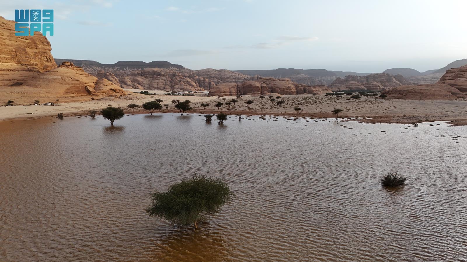 صورة من الألبوم
