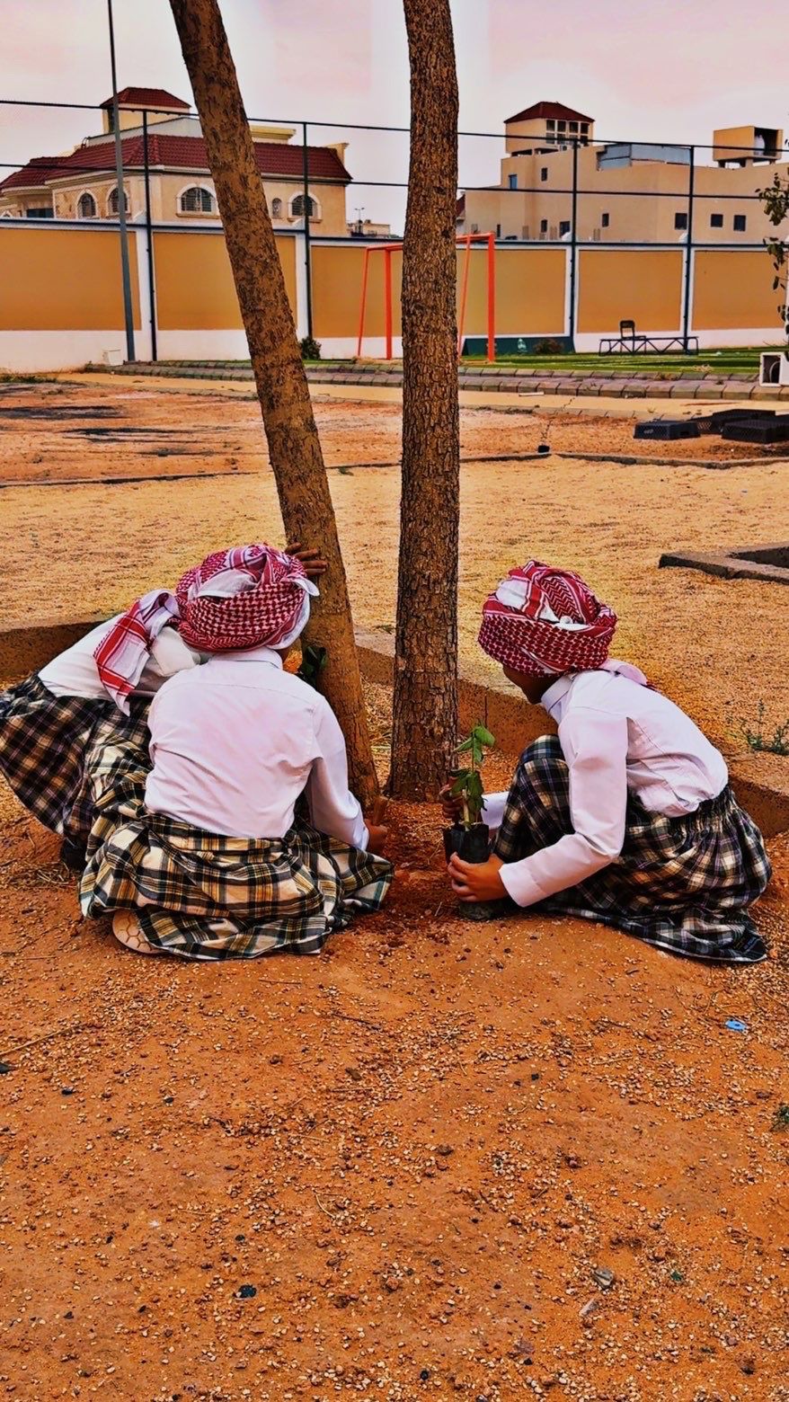 صورة من الألبوم