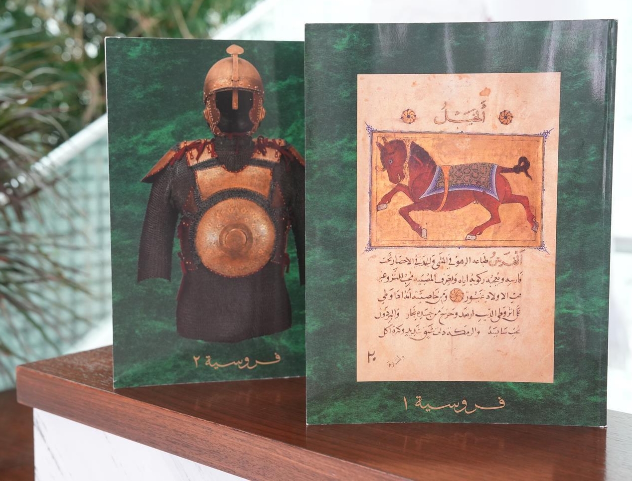 صورة من الألبوم