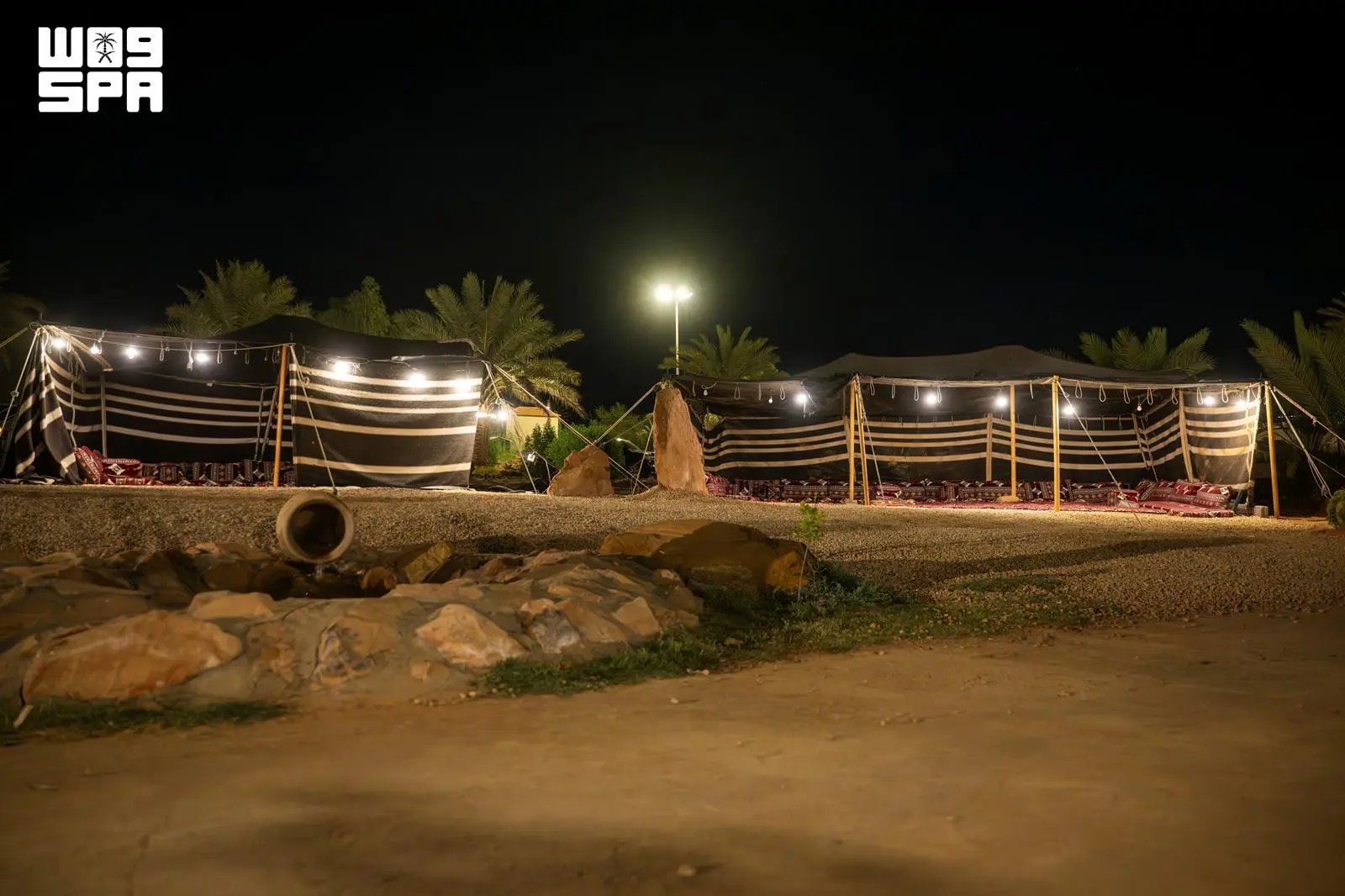 صورة من الألبوم