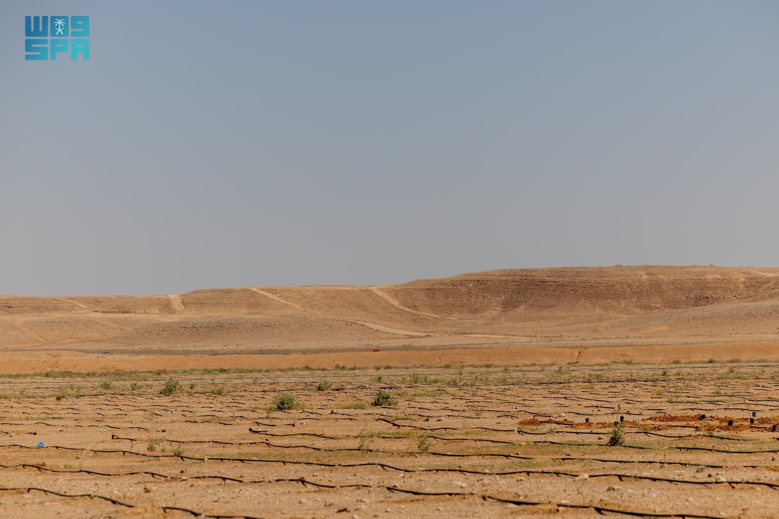 صورة من الألبوم