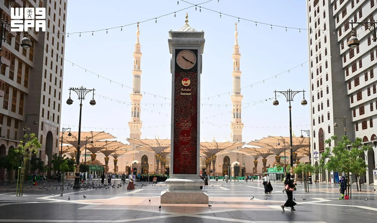 صورة من الألبوم