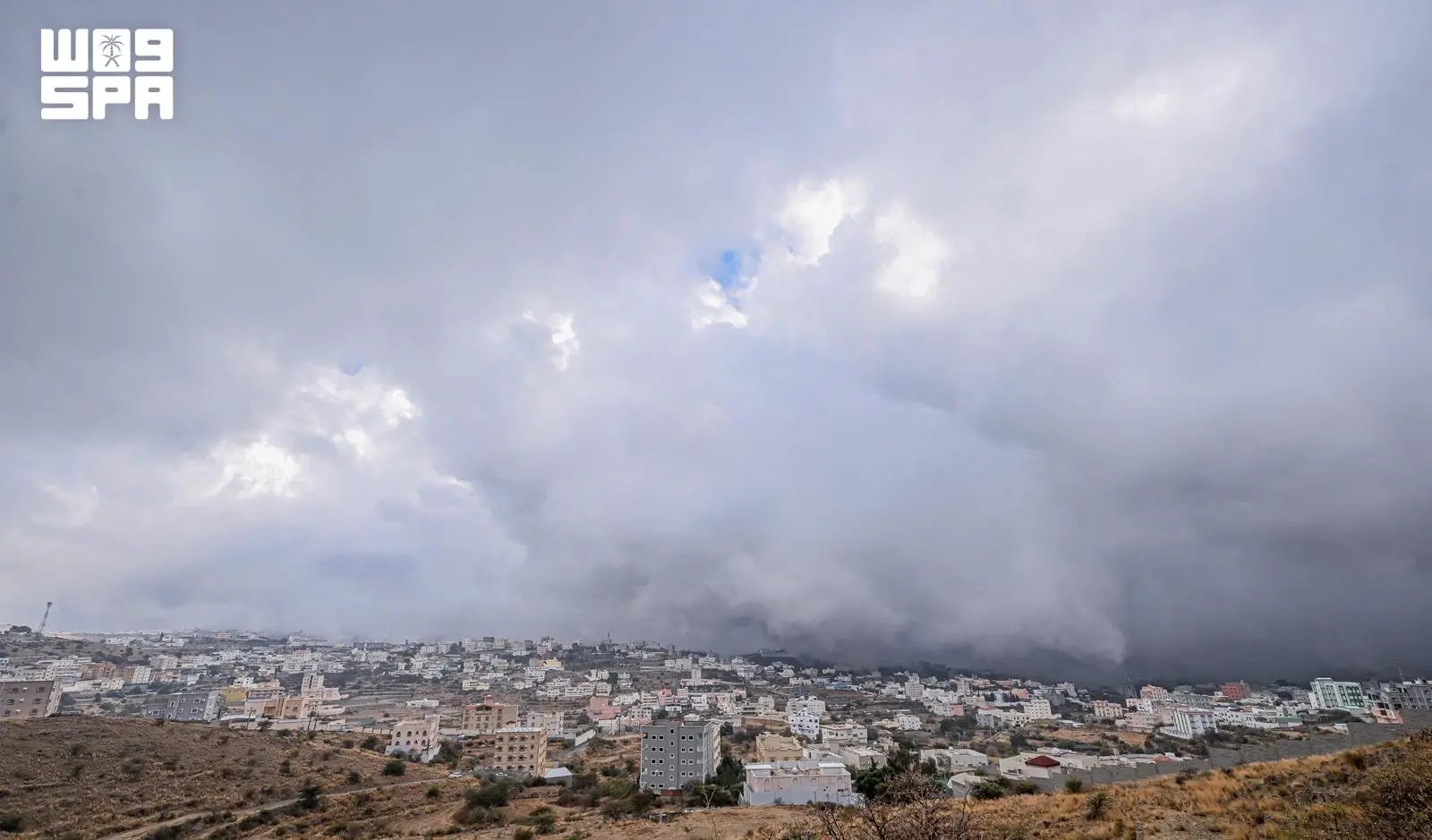 صورة من الألبوم