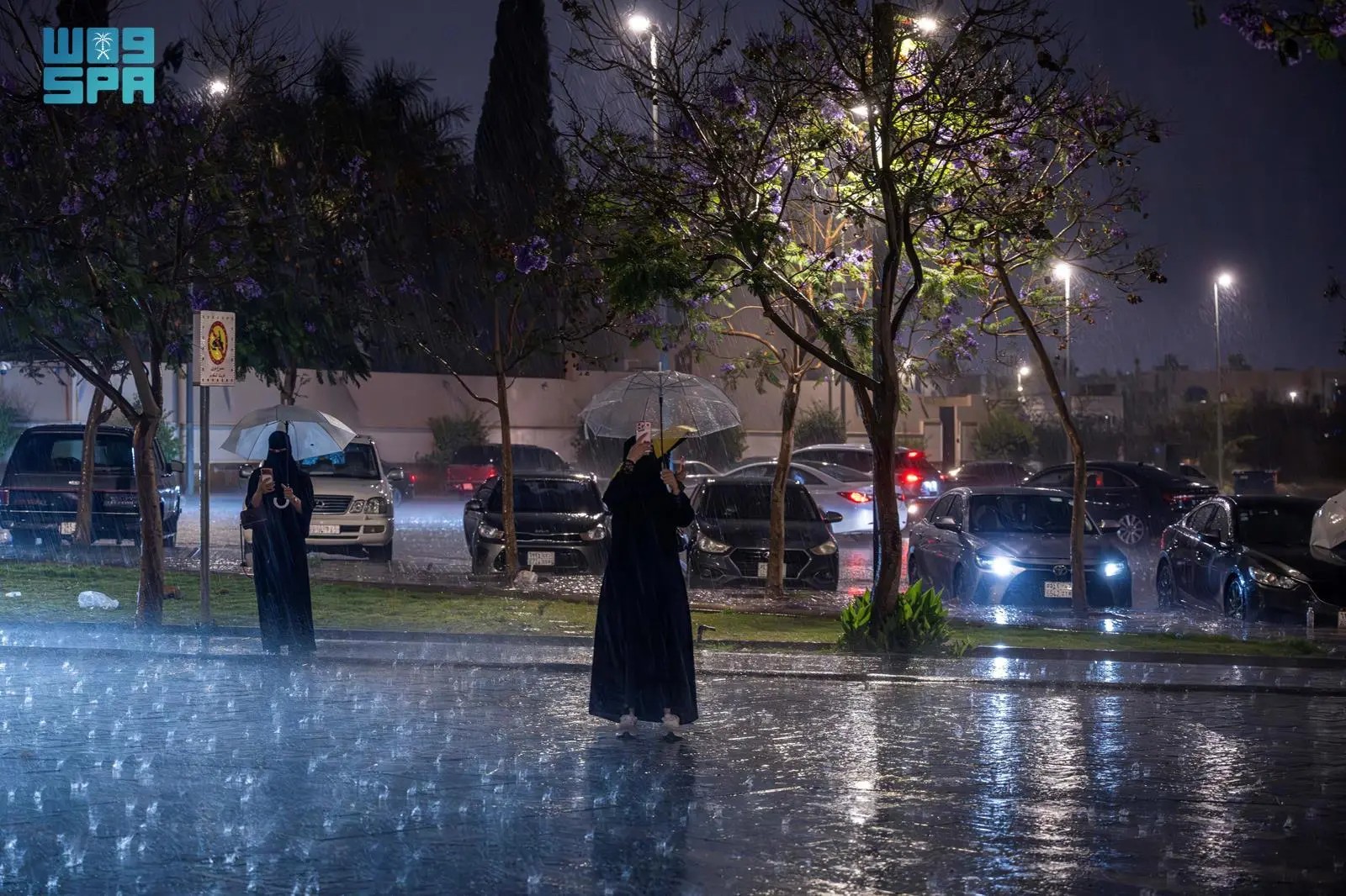 صورة من الألبوم