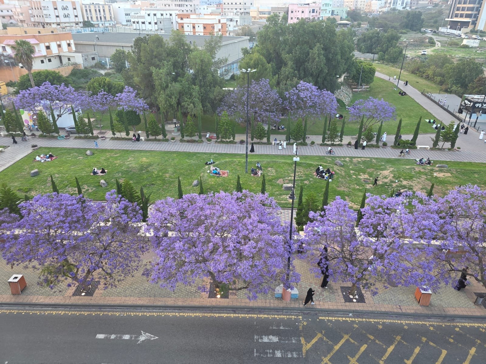 صورة من الألبوم