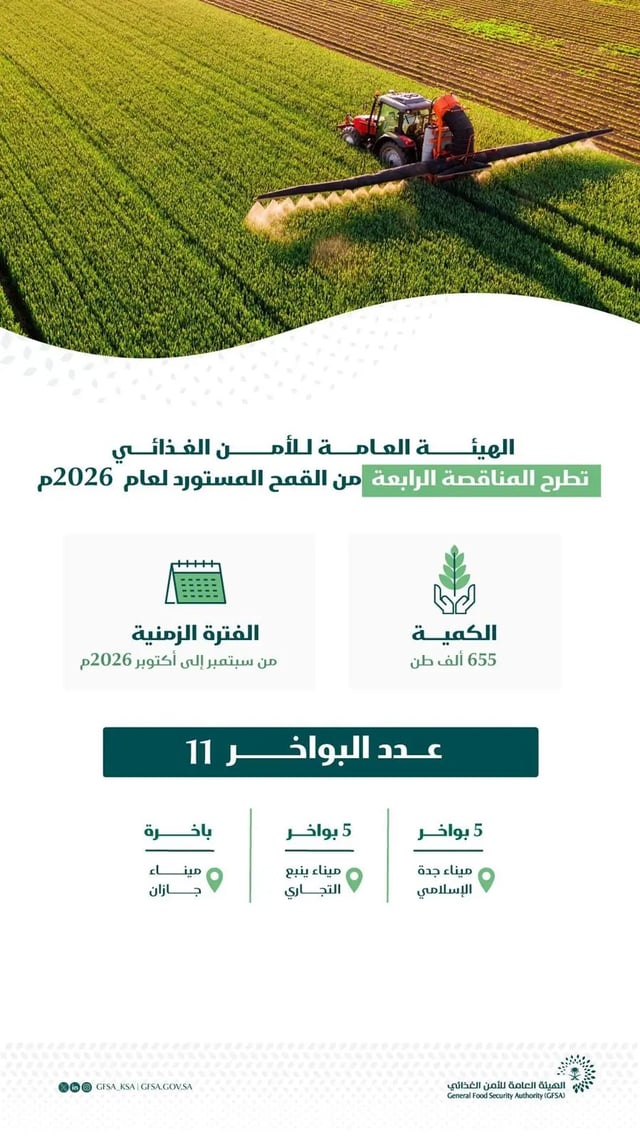الأمن الغذائي يطرح مناقصة رابعة لاستيراد 655 ألف طن قمح