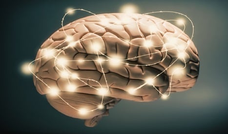 ?لى موائدنا جميعًا.. دراسة أمريكية: