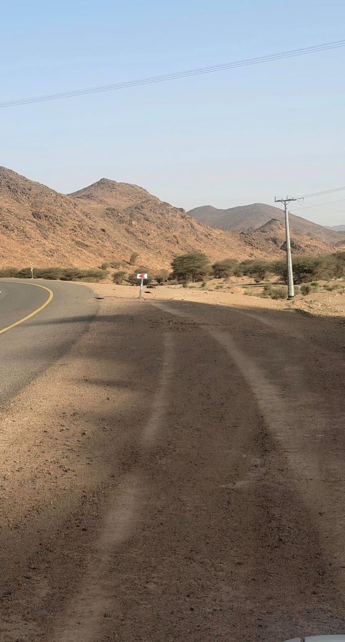 صورة من الألبوم