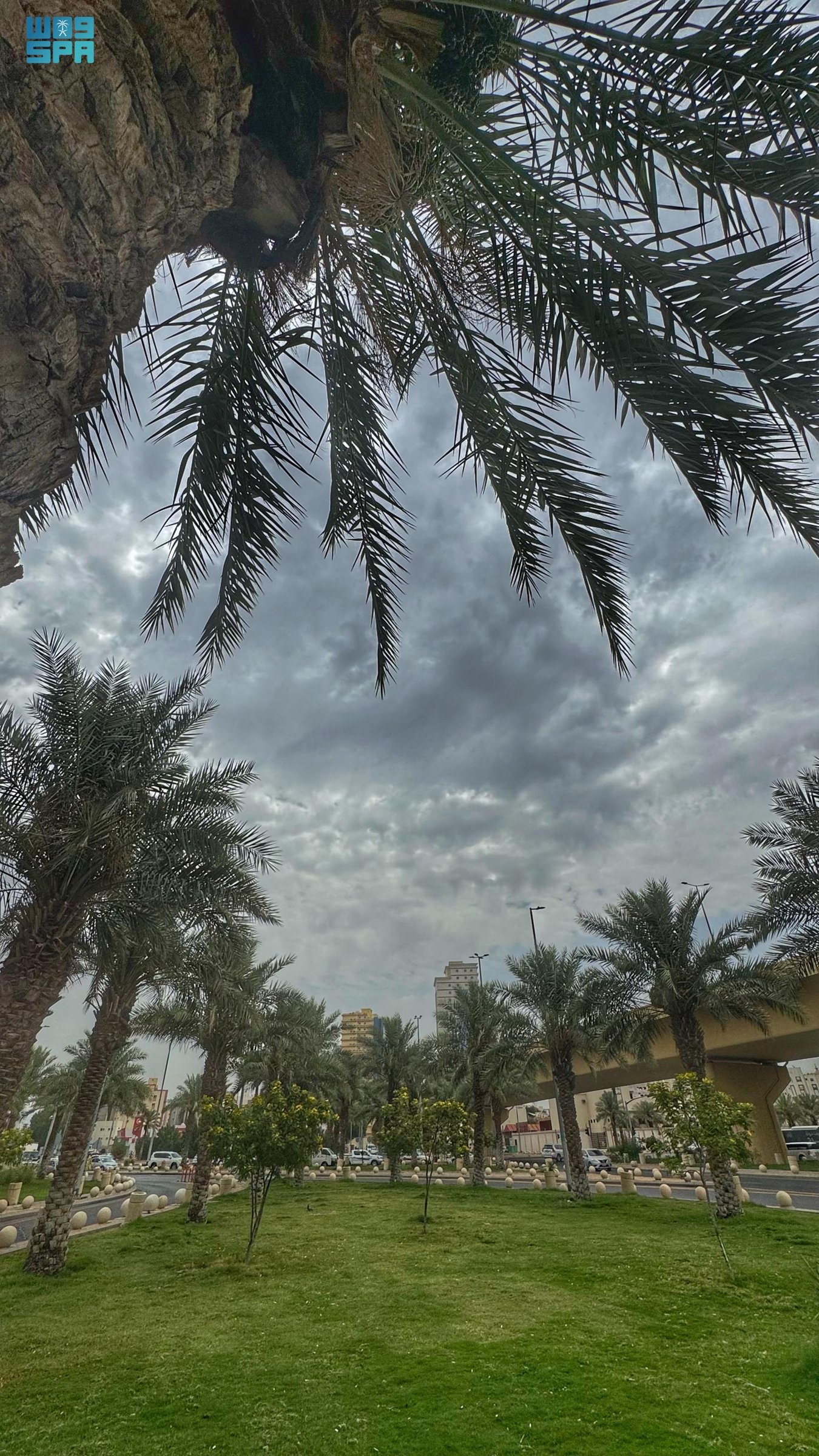 صورة من الألبوم