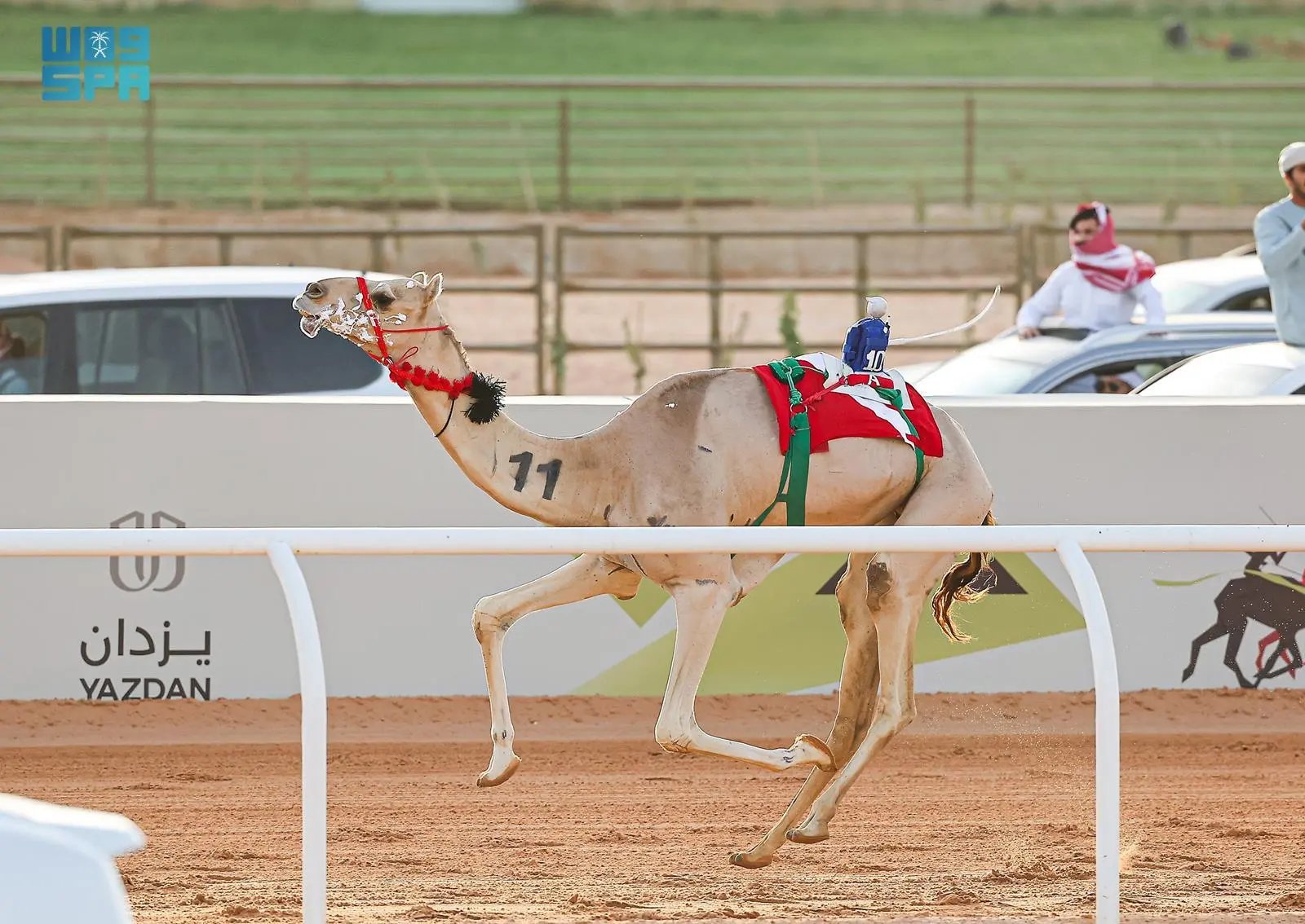 صورة من الألبوم