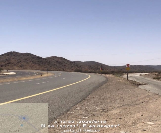 صورة من الألبوم