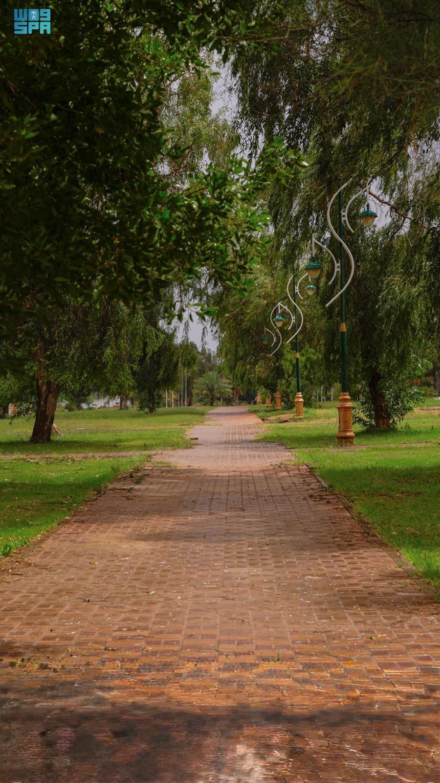 صورة من الألبوم