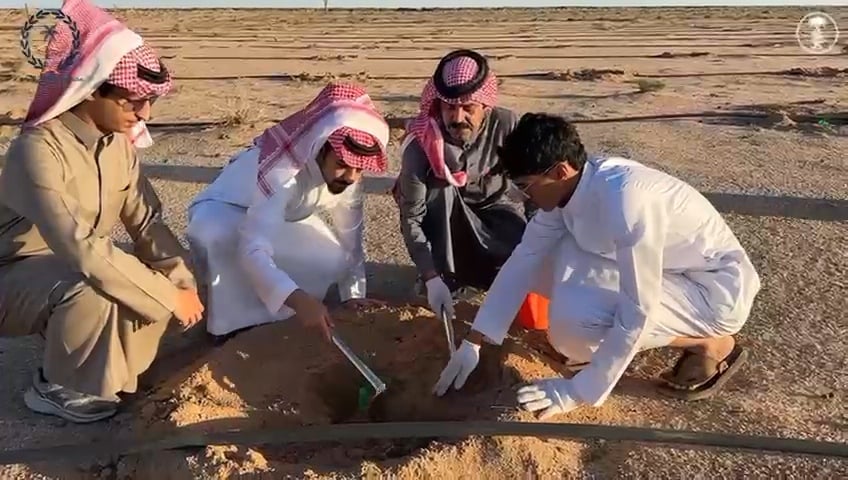 صورة من الألبوم