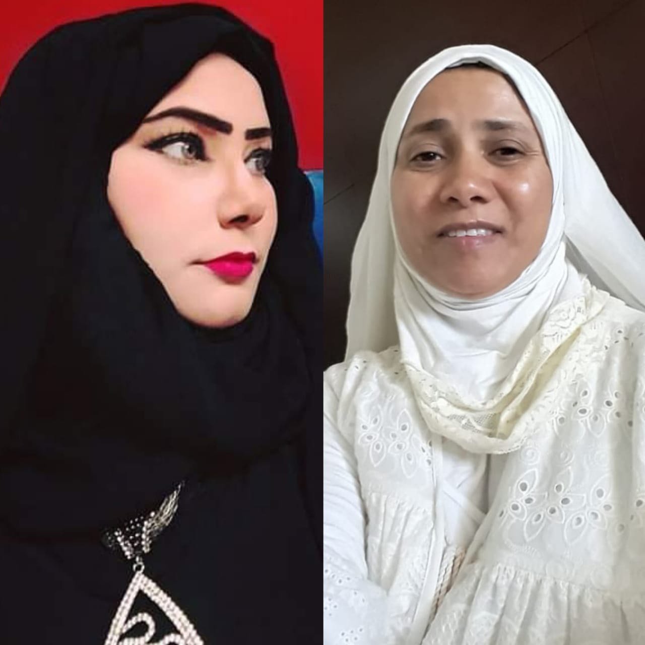 ?حفيتان مصريتان عن الهجمات الحوثية