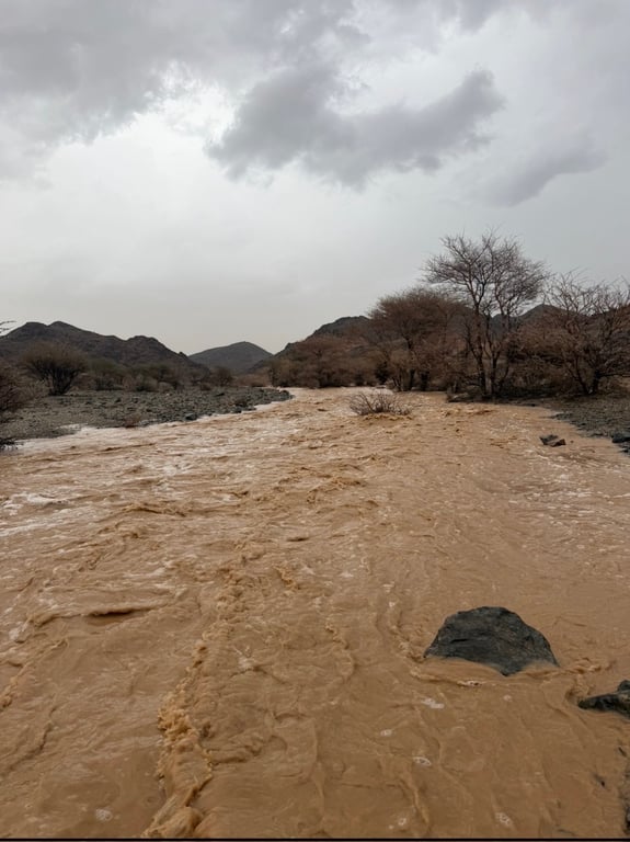 سيول القويعية 2026