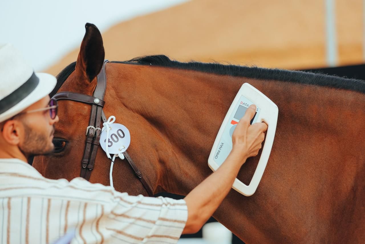 صورة من الألبوم