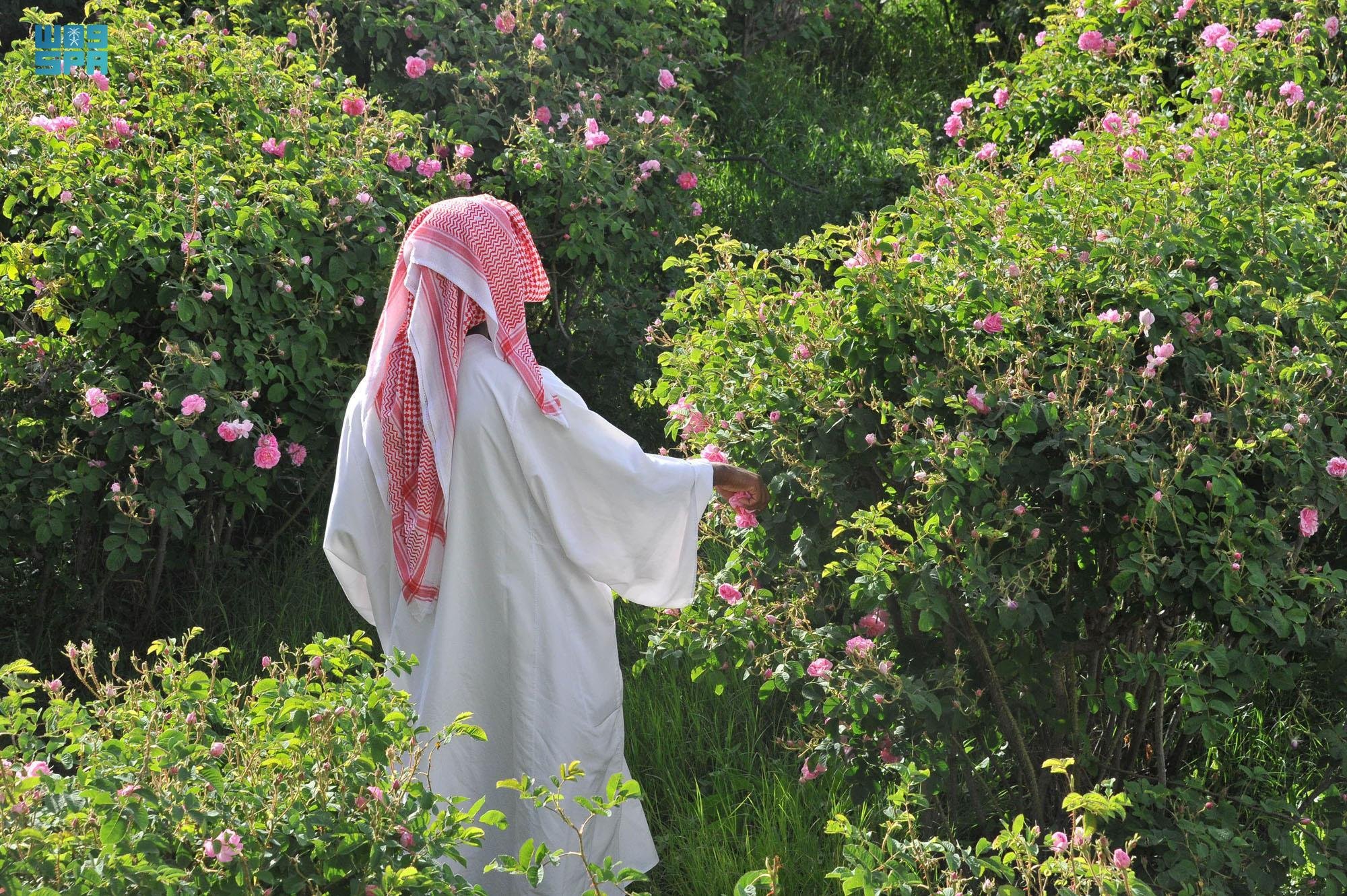 فريق متخصص من دارة الملك